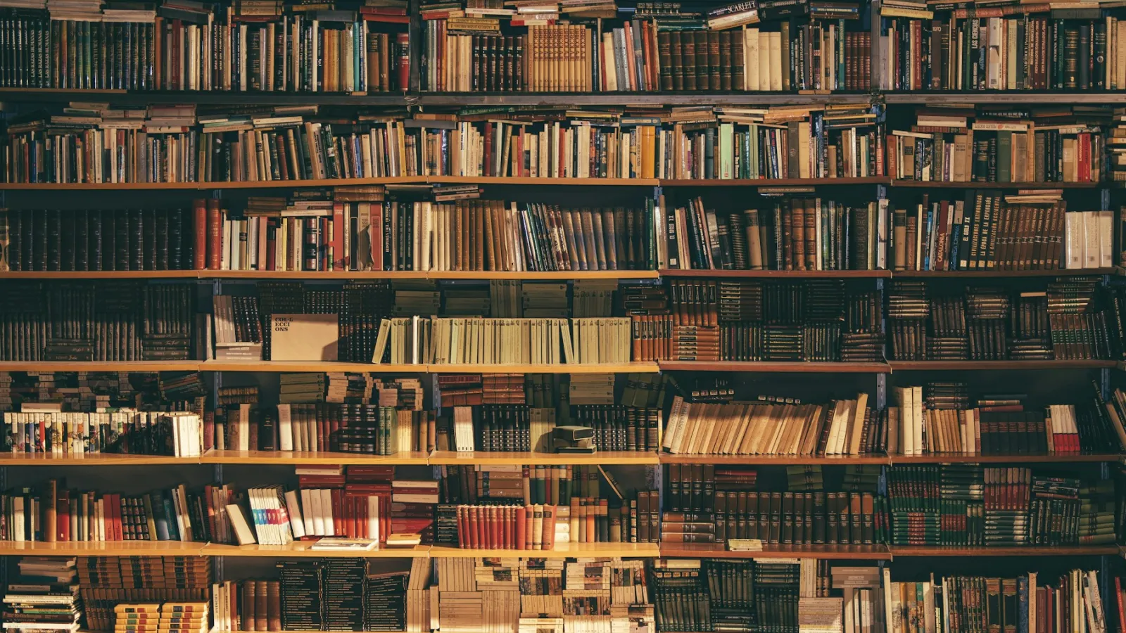 Biblioteca con libros y documentación de consulta